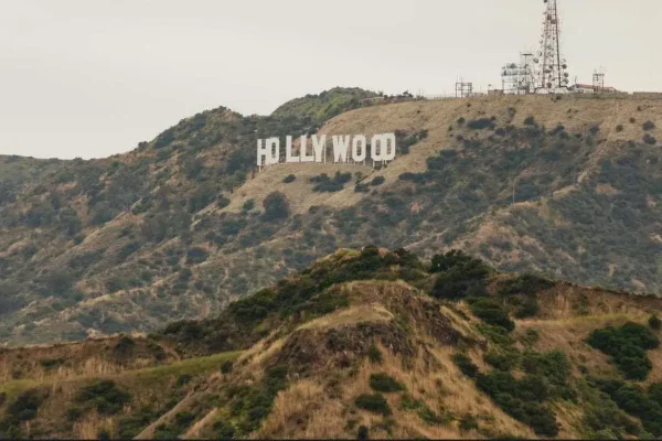 Half-Day Sightseeing Tour of the Best of Los Angeles