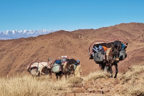 Trek au Massif de Saghro – Anti Atlas