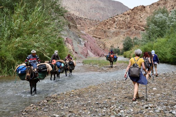 Traversée des Gorges du M’goun – Haut Atlas