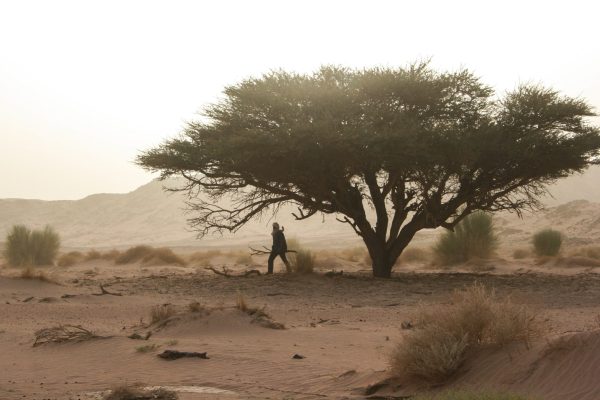Kasbahs, Oasis et Dunes de Merzouga