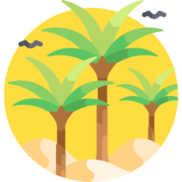 Oasis et vallées du Sud